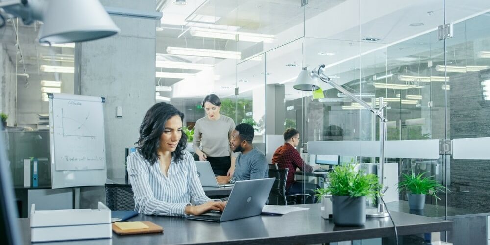Busy,International,Office,Where,Diverse,Team,Of,Young,Businesswomen,And checking job seekers files